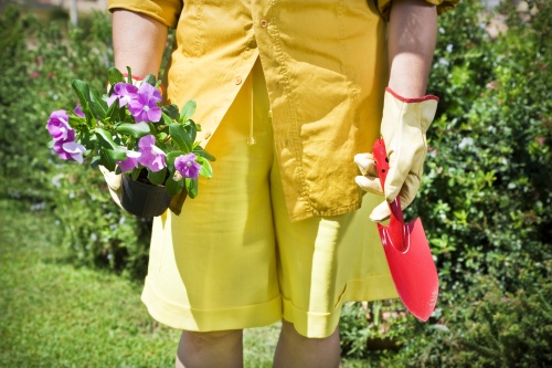 worxon-odziez-robocza